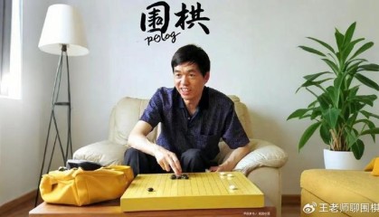 马晓春在围棋界的地位如何